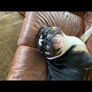 Meet your Posher, Kaitlyn